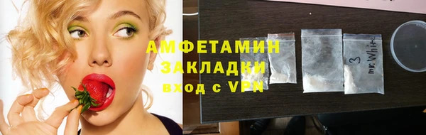 крисы Абаза