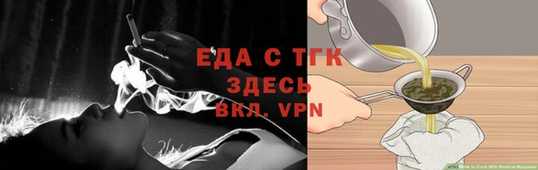 крисы Абаза
