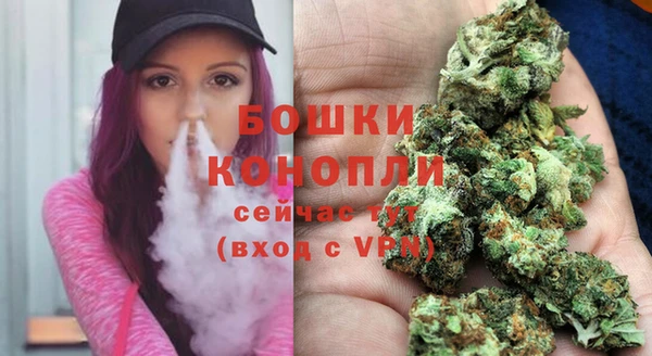 гашик Покров