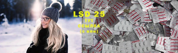 крисы Абаза