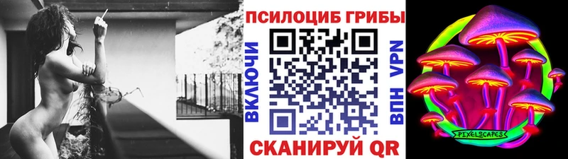 купить наркотики сайты Барнаул Галлюциногенные грибы Cubensis