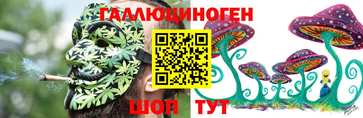 Барнаул  Псилоцибиновые грибы MAGIC MUSHROOMS  Вход с VPN 